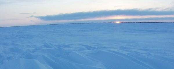 The Low Sun of the High latitude